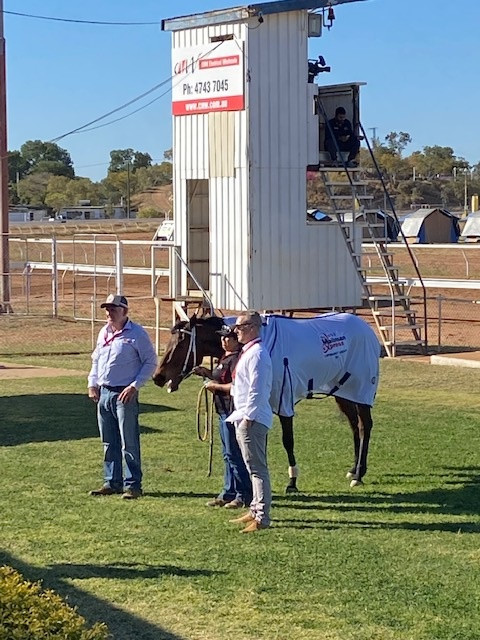 Cirlock Mt Isa